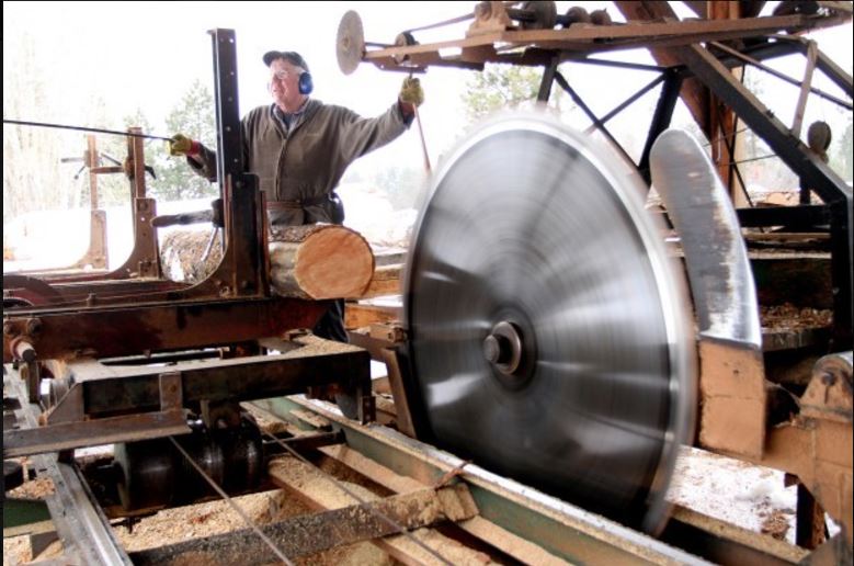 Giant woodworking saw
